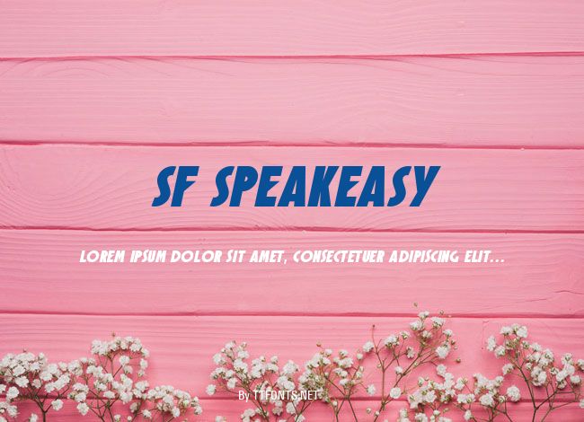 SF Speakeasy example